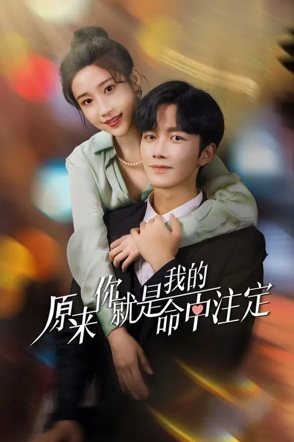 Poster phim Hoá Ra Em Là Định Mệnh Đời Anh trên PhimMoi