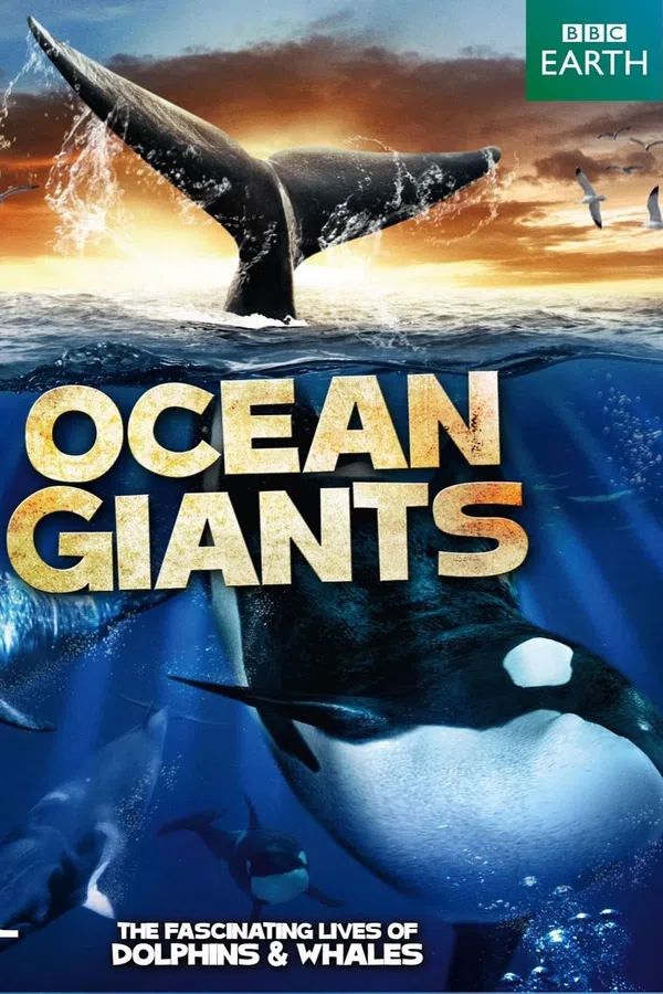 Poster phim Ocean Giants trên PhimMoi