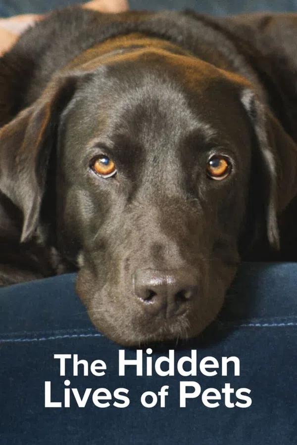 Poster phim The Secret Life of Our Pets trên PhimMoi